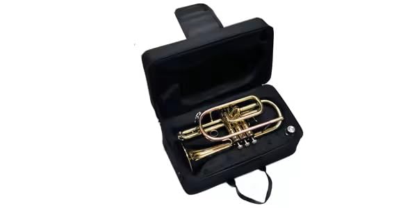 Amazon | PLAYTECH (プレイテック) コルネット ラッカー仕上げ ケース