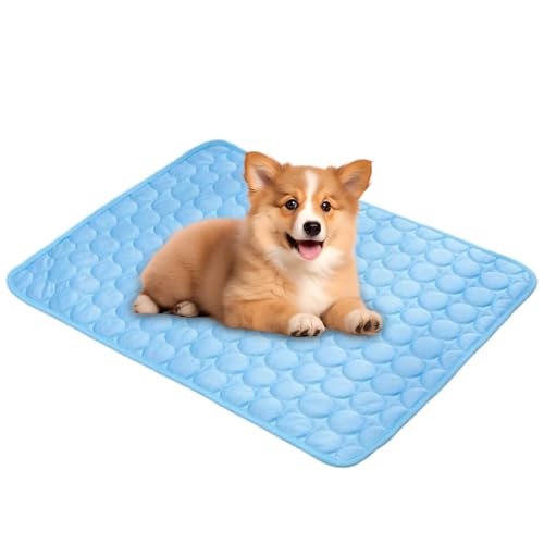 pp}bg | Ă̌pp}bg ܂肽ݎ,ʋCN[xbhLuPbgɂ |[^uẲƃr[`sAEghAybgANZT[