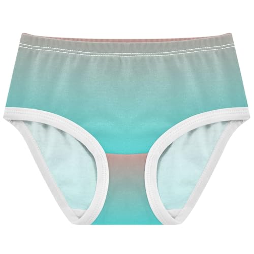 Joisal Coral Pink Cyan Gradient Toddlers Underwear Floral 2t Cotton Panties for Girl Cartoon Briefs Undies Kids
