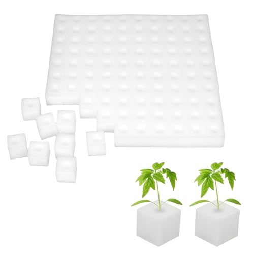 Tomotato Esponjas Hidropónicas 100 Piezas para Semilleros y Cultivo Sin Tierra - Malla con Ranuras, Invernadero, Jardinería Vertical y Sistema Hidropónico