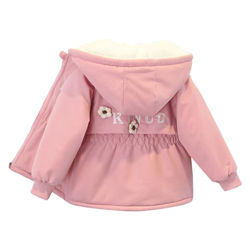 [veolaimy] q WPbg LbY ̎q N  EChu[J[ h h g Wp[ K[Y t[ht   R[g n ؍  AE^[ JWA 傫TCY t H ~ ʉ ʊw AEg