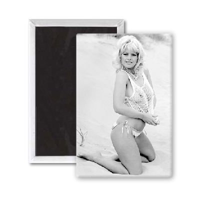 Erica Preston May 1983 Topless Glamour Model - 3x2 inch Fridge Magnet - large magnetic button - Magnet