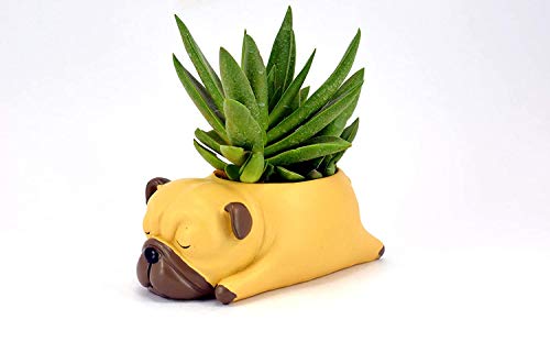 Image of Resin Pots Planter Combo Set of 6 Animals Shape Resin Succulent Pot Succulent Planter Flower Pots Indoor Container for Garden and Office Table (Set of 3 Animals)