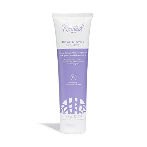 Rooted Beauty Repair and Revive Shampoo, 8.5 Fl Ounce