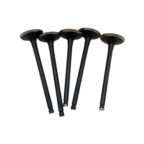 Repara la pérdida de potencia en tu Grizzly o Raptor 660 con estas piezas de motor OEM