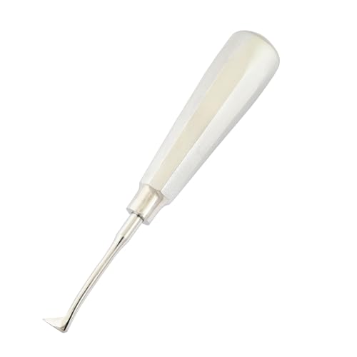 MASTERYD Dental SELDIN E4R Root Elevator Right Hand Short Blast Hollow Handle Stainless Steel Dental Extraction INSTRUEMENTS