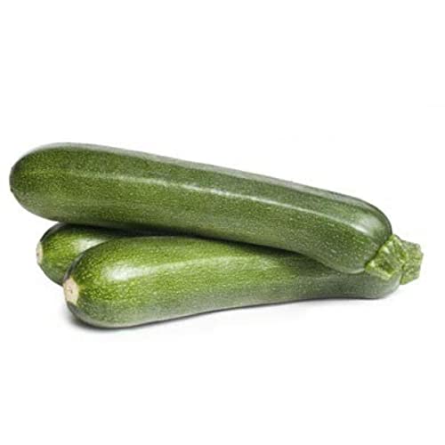 Monoprix Bio Courgette Bio Catégorie 2 - LE FILET DE 1 KG