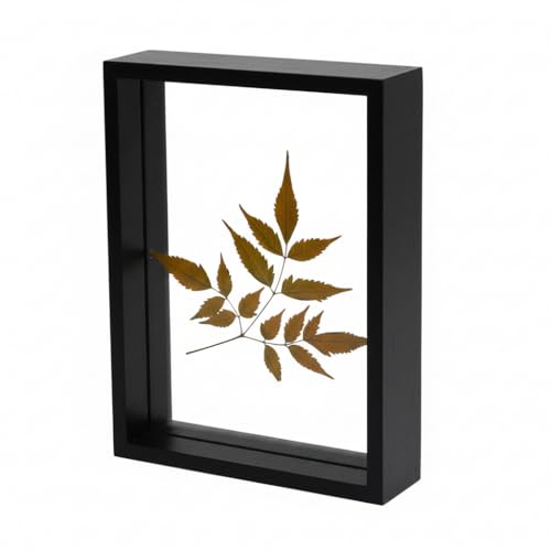 Image of Desi Rang Wooden Frame for Wall Decor Table top Hanging Any Green or dry plant Leaf Picture Photo DIY Gift Home decoration (Black,Rec,7.7x5.5 inch,without Leaf)