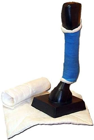 l carnitina per cavalli