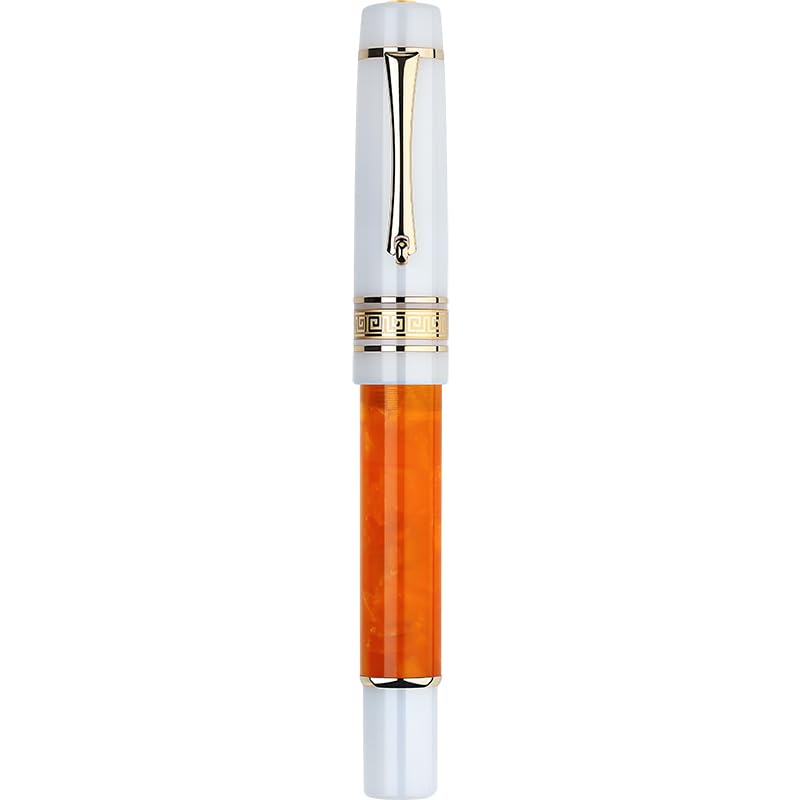 Stylo plume en résine KLVN #6 compagnon idéal pour organiser vos notes de bureau et fournitures