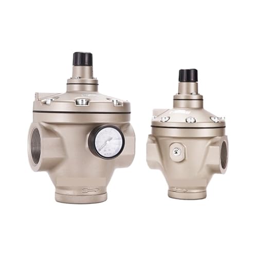 Réducteur de pression pneumatique DN40 DN50 grand débit - 6