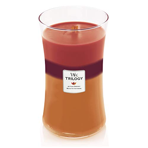 Preisvergleich Produktbild Woodwick 5038581081854 Candle, mehrfarbig, Large