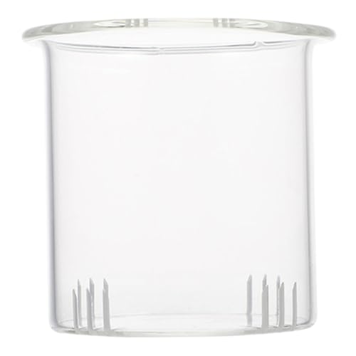 BESPORTBLE Colino per Tè Sfuso in Vetro Resistente Filtro Rimovibile per Teiera da 600Ml Infusore per Foglie di Tè e Tisane per Uso Domestico