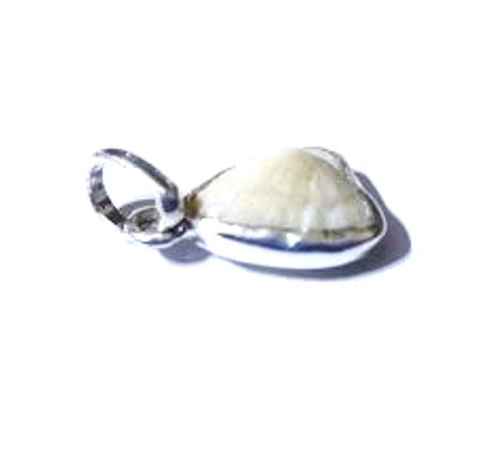Machmani Silver Locket 7 Carat | 100% Lab Certified From Authentic laboratory | Machh mani Stone Natural (B08ZKCSD3X) Amazon Price History, Amazon Price Tracker