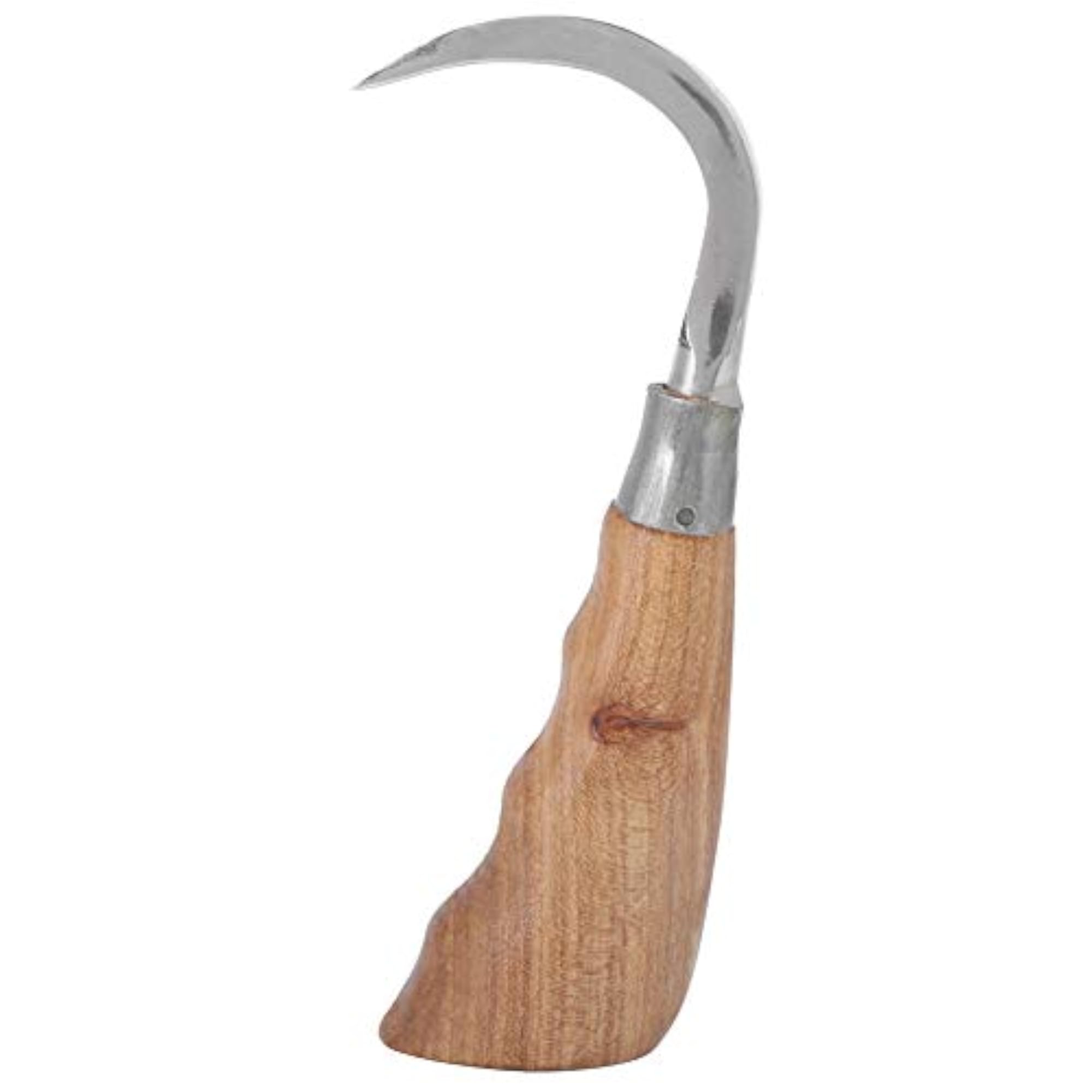 Lightweight Stainless Steel Fish Lifter, Fishing Accessory