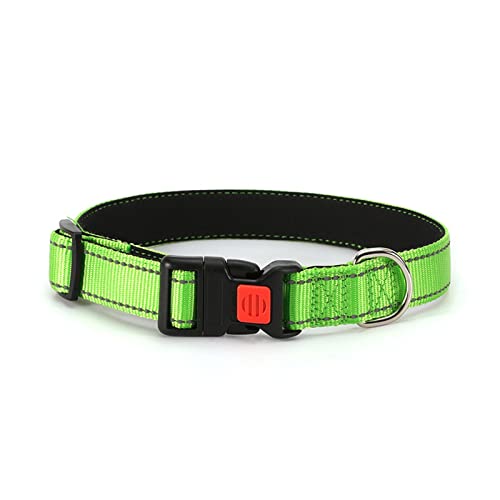 NARBOR Collier réfléchissant multicolore pour chien Dragon non étranglant Collier réglable pour chien (couleur : vert gazon, taille : L2,5 x 60 cm) Cover
