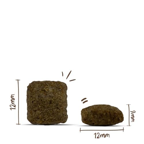 Bosch My Friend+ Dog Senior & Light | Hundetrockenfutter für ältere und übergewichtige Hunde | 1 x 12kg – Ansicht 2