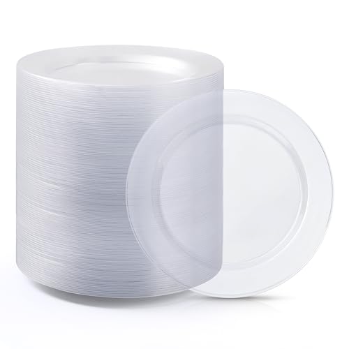 Bestluck 100PCS Clear Plastic Dinner Plates 10inch, Premium Hard Disposable Plates for Party, Wedding