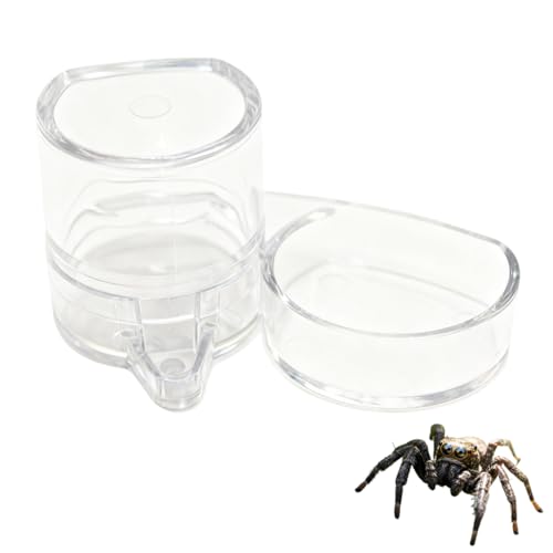 w偗p풵w偗pt[hM^w偎P[Ww偁E^`EJ}LE㐫pP[WANZT[