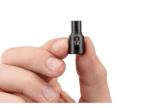 Image of TEKTON 1 /4 Inch Drive x 3 /16 Inch Shallow 12-Point Impact Socket | SID02203