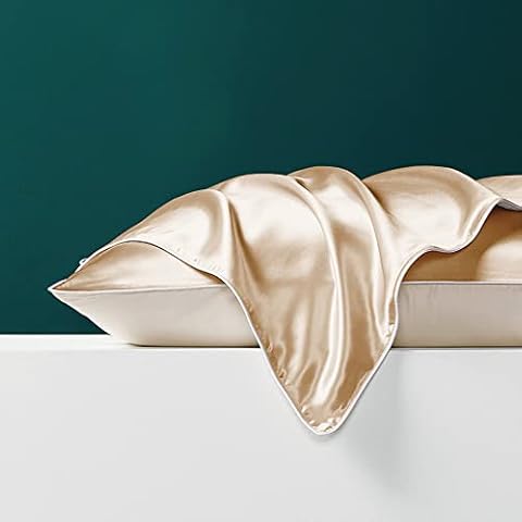Mulberry Silk Pillowcase, Breathable Silk Pillowcase for Hair and Skin, Silk Pillow Cover with Envelope Closure -1 Pack (Queen, Champagne) Cover