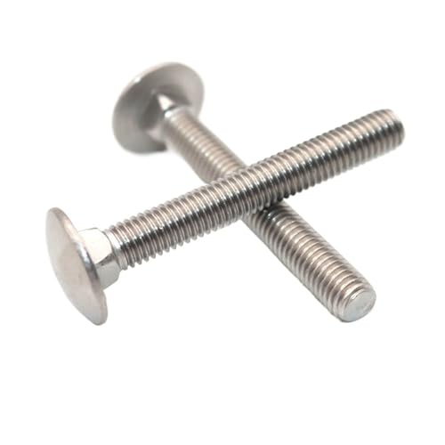 Bulloni fissi in acciaio inossidabile M10 304, bulloni a testa rotonda e a collo quadrato DIN603, viti a testa semicircolare per telaio(45mm(2PCS))