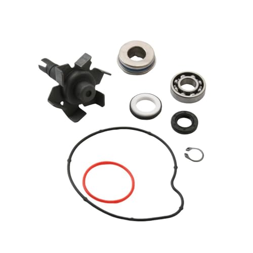 Kit réparation pompe à eau contre surchauffe moteur XP500 500cc