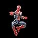 Marvel Legends Series Iron Spider, Avengers: Endgame Collectible 6 Inch Spider-Man Action Figure