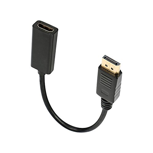 LIANSHU Gold-Plated DisplayPort Male to HDMI Female Adapter (Cable L= 5 Inches)