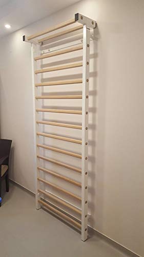 ARTIMEX espaldera Metal/Madera para Fisioterapia y Gimnasia - Utilizado en hogares, gimnasios, clínicas y centros de acondicionamiento físico - 230x90 cm, código 221-M