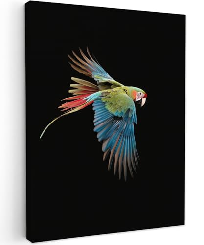 MuchoWow© Impression sur Toile Decoration Murale Peinture 60x80 cm Tableaux Decoratifs Muraux...