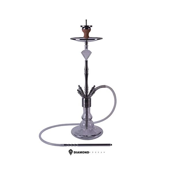 DIAMOND HOOKAH Premium Rubin Shisha Set, Wasserpfeife Shisha Edelstahl Komplettset mit 4 Anschlüsse/Schläuche. 18/8…