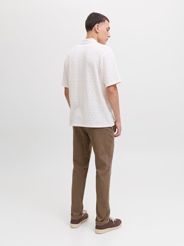 JACK & JONES Male Chino Hose Slim Fit Chino Hose 3