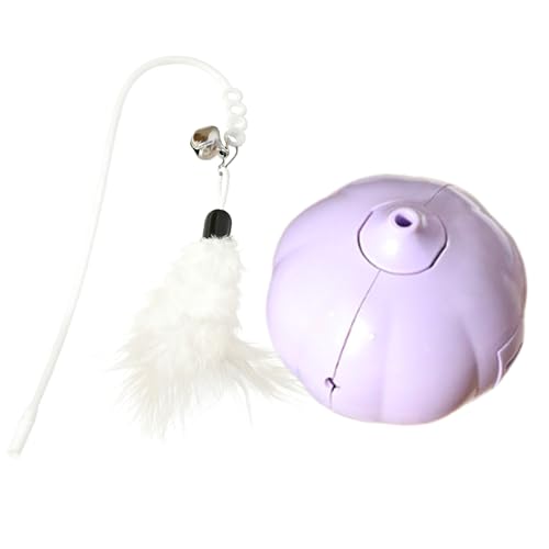 C^NeBu Lbg gC,C^NeBu ybg eB[U[ h | Lbg Gb`g GNTTCY gC | ^^^̎qLp O  |[` K[f Őp