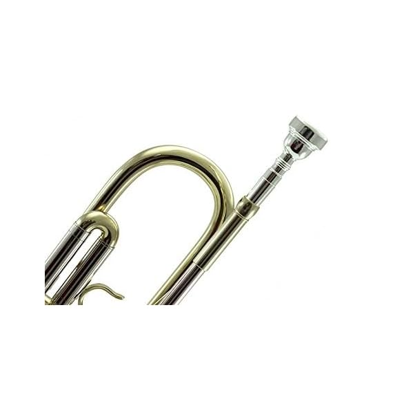 Sky Gold Plated Brass Bb Trumpet with Case, Cloth, Gloves, and Valve Oil, Gold