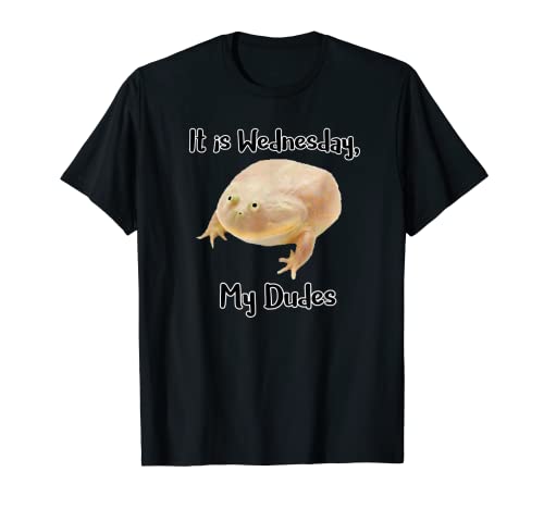 Funny Wednesday Frog Meme Frog Toad Lover T-Shirt
