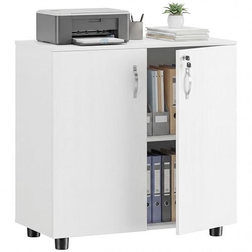 Vinsetto Armoire de Bureau à 2 Niveaux, Meuble de Rangement Bureau avec 2 Portes, serrures et clés, Armoire à dossiers pour Domicile, Garage, 80 x 40 x 80...