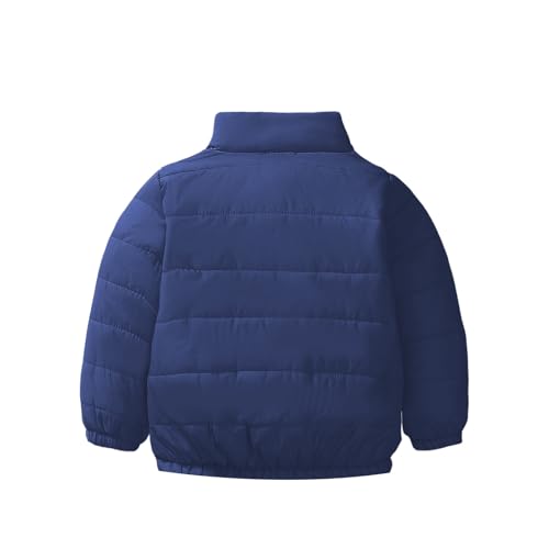 BILIKEYU Boys Girls Lightweight Puffer Jackets Zip up Stand Collar Winter Warm Outerwear Cats for 3 to 14 Years2