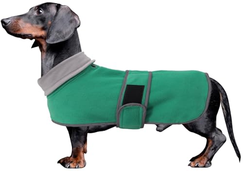 MOREZI Winterhundejacke mit wattiertem Flusenfutter, verstellbarem Klettknopf und hochklappbarem Stehkragen. Sehr gut geeignet für Dackel und kleine und mittelgroße Jagdhunde-Grün-XS