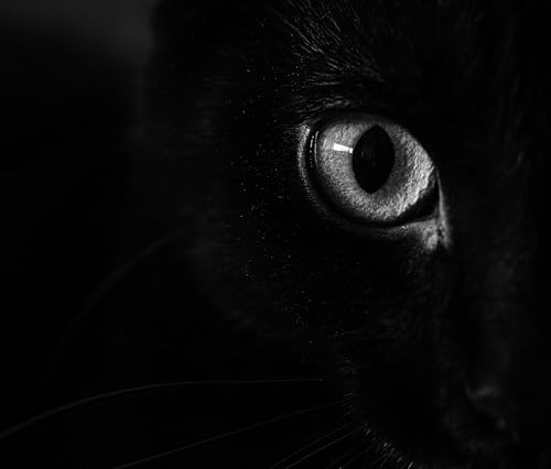 Night Vision: A Just 3 Minutes Story