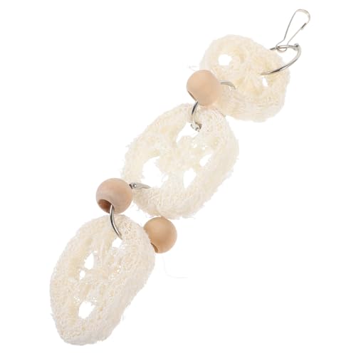 Kisangel Natural Loofah Parrot Chew Hanging Molar for Birds Relief and Care for Parakeets Cockatiels Budgies and More