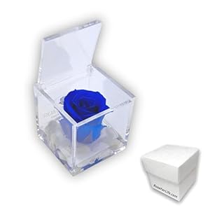 Premium-Rose.Com Blaue Rose im Würfel A1061