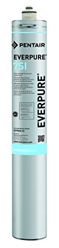 Exclusive Discount 🔥 Everpure EV9606-01 7SI Cartridge