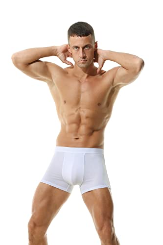 Hoerev Pack of 4 Mens Super Soft And Comfortable Fiber Briefs Trunks Underwear3