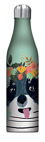Studio Oh! 25 oz. Insulated Stainless Steel Water Bottle, Fancy Flower Dog