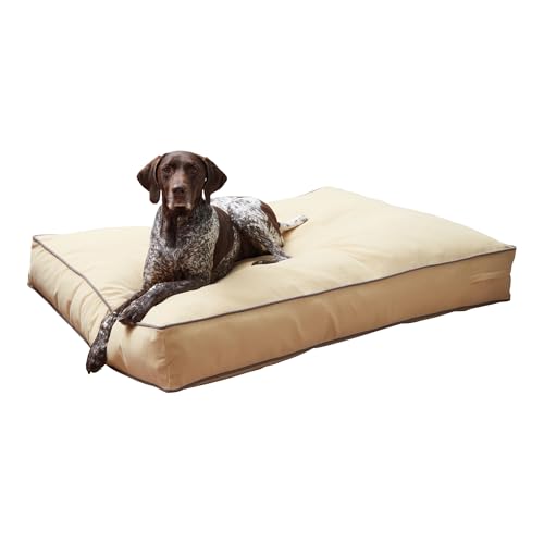 Happy Hounds Buster Hundebett, wendbar, rechteckig, Beige, Größe L (121,9 x 91,4 cm) Happy Hounds Buster Hundebett, wendbar, rechteckig, Beige, Größe L (121,9 x 91,4 cm)
