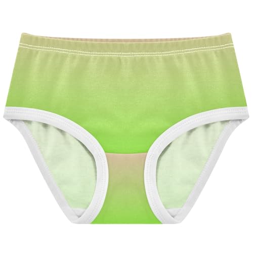 Joisal Durable Toddler Underwear Floral 2t Cotton Girl Panties Cute Blush Pink Bright Green Gradient Briefs Girls Undies