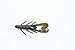Zoom UltraVibe Speed Craw-Pack of 12 (Green Pumpkin, 3.5-Inch)