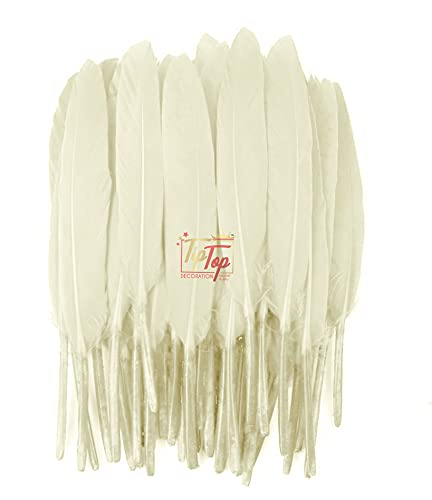 Tiptop Decoration Natural Dyed Premium Goose Feathers Quills (10 Pieces) (10-15 cm) (Natural White)-image-8