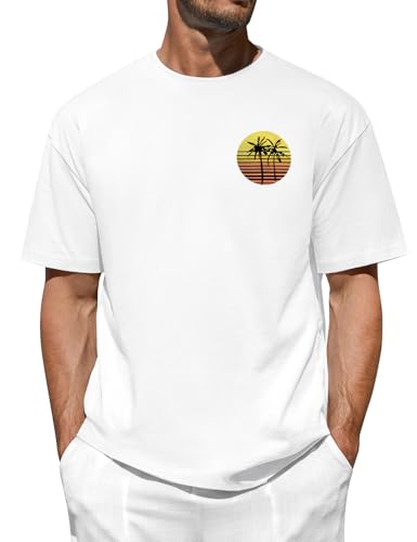 heekpek Camisetas Manga Corta Hombre Verano Algodon T Shirt Basica Camisetas Media Mang Cuello Redondo con Estampado, D Blanco, L